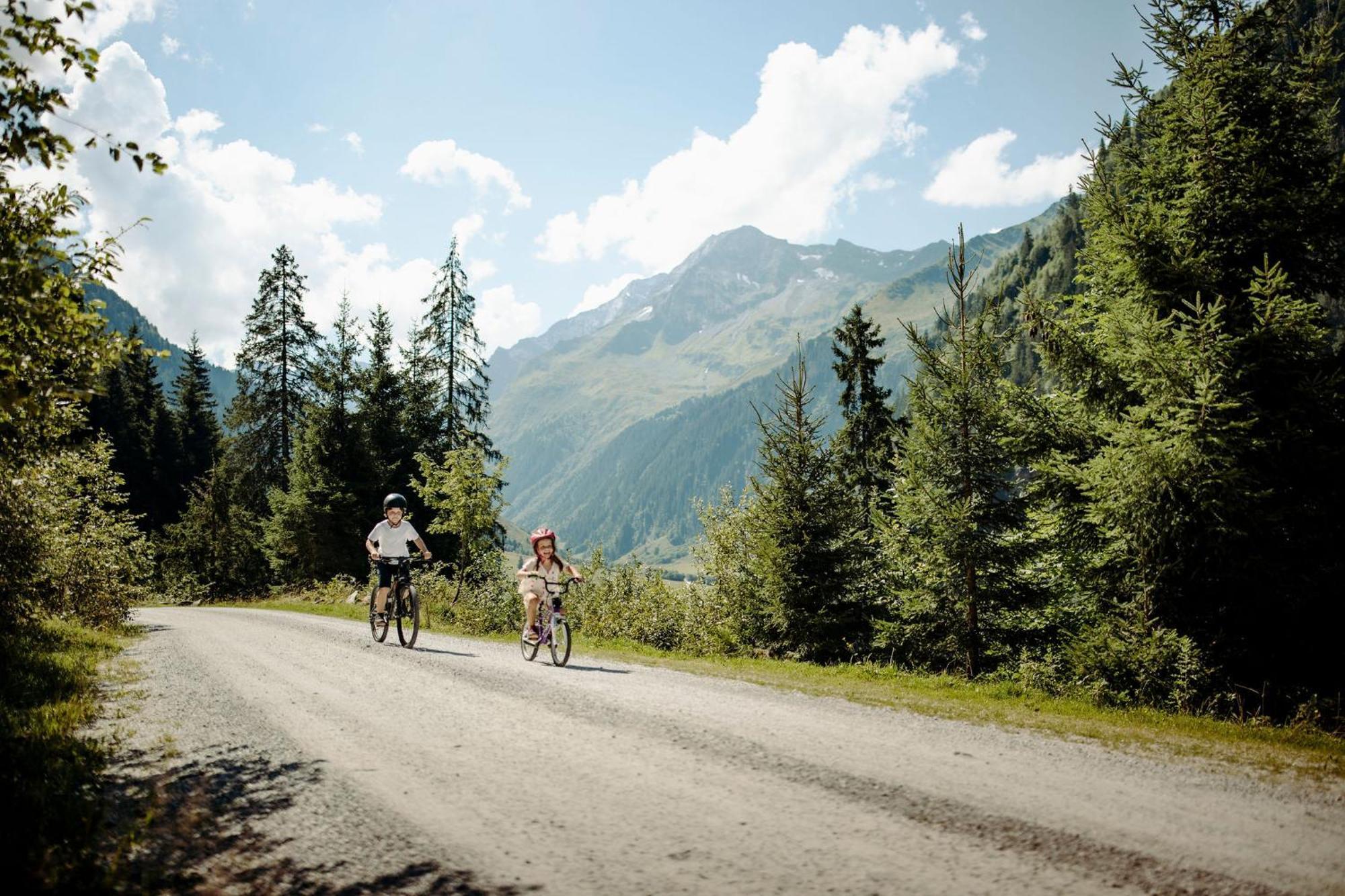 Das Gemuetliche Dorfhotel Kaltenhauser Hollersbach im Pinzgau Eksteriør bilde